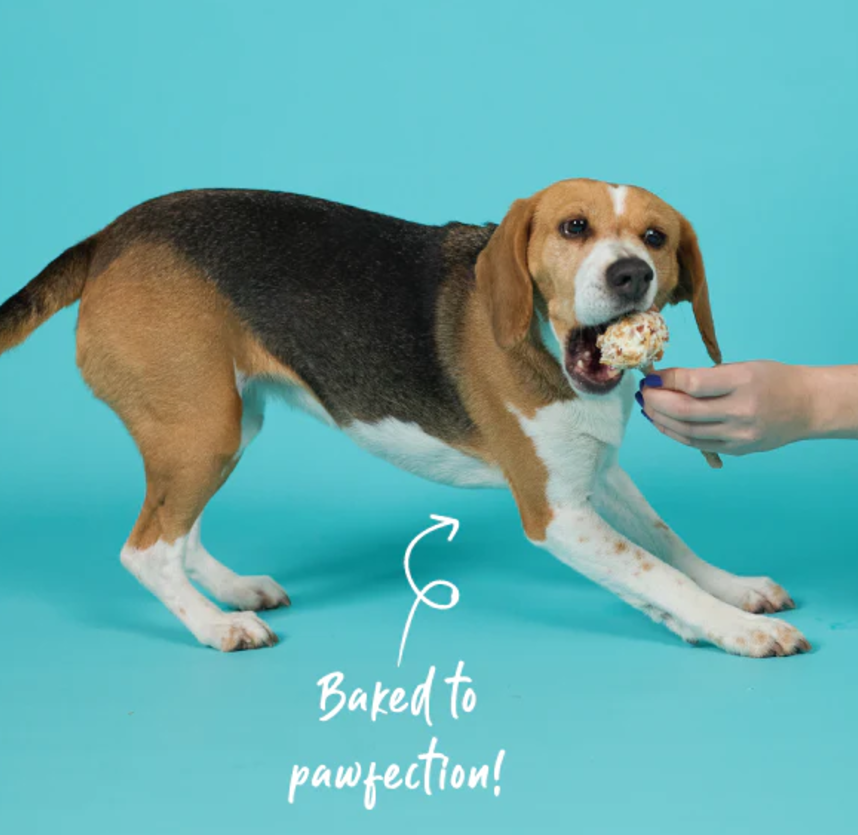 Kazoo Barneys Barkery Meaty Pop - Chicken 65gm