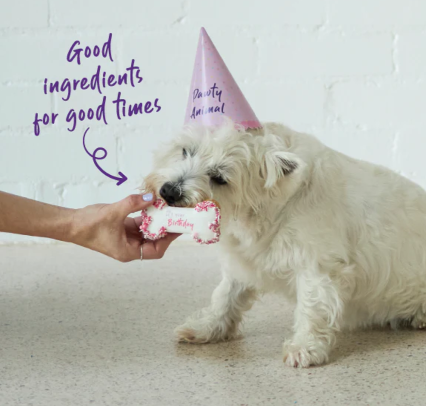 Kazoo Barneys Barkery Dog Birthday Party Pack -Pink 150g