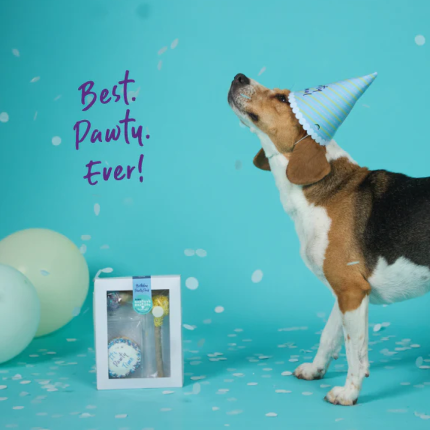 Kazoo Barneys Barkery Dog Birthday Party Pack -Blue 150g