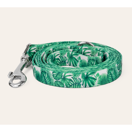 Dan & Sam Dog Lead Lahana Large
