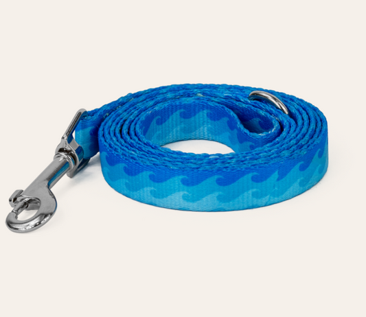 Dan & Sam Dog Lead Coastal Land Large