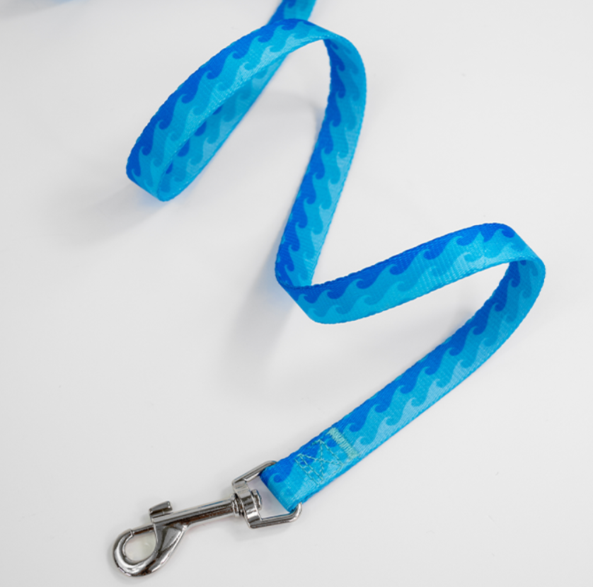 Dan & Sam Dog Lead Coastal Land Large