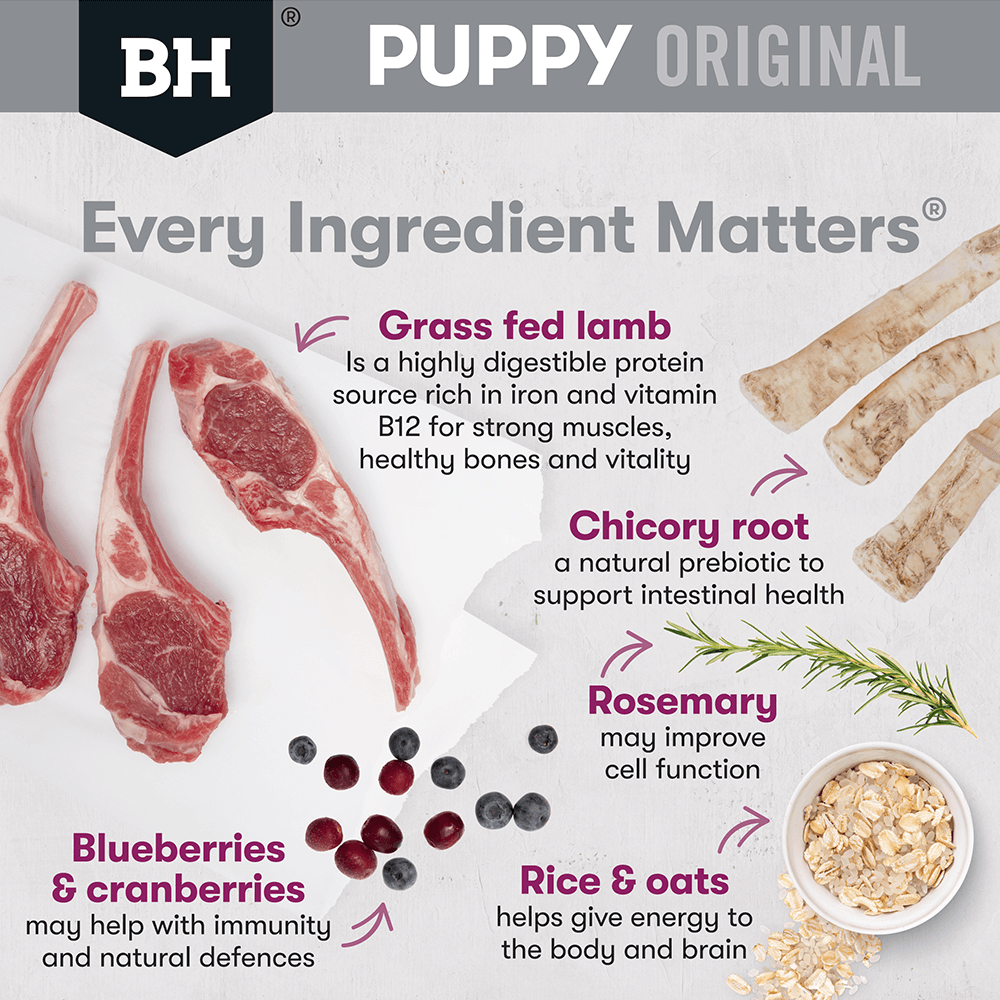 Black Hawk Puppy Med Breed Lamb & Rice