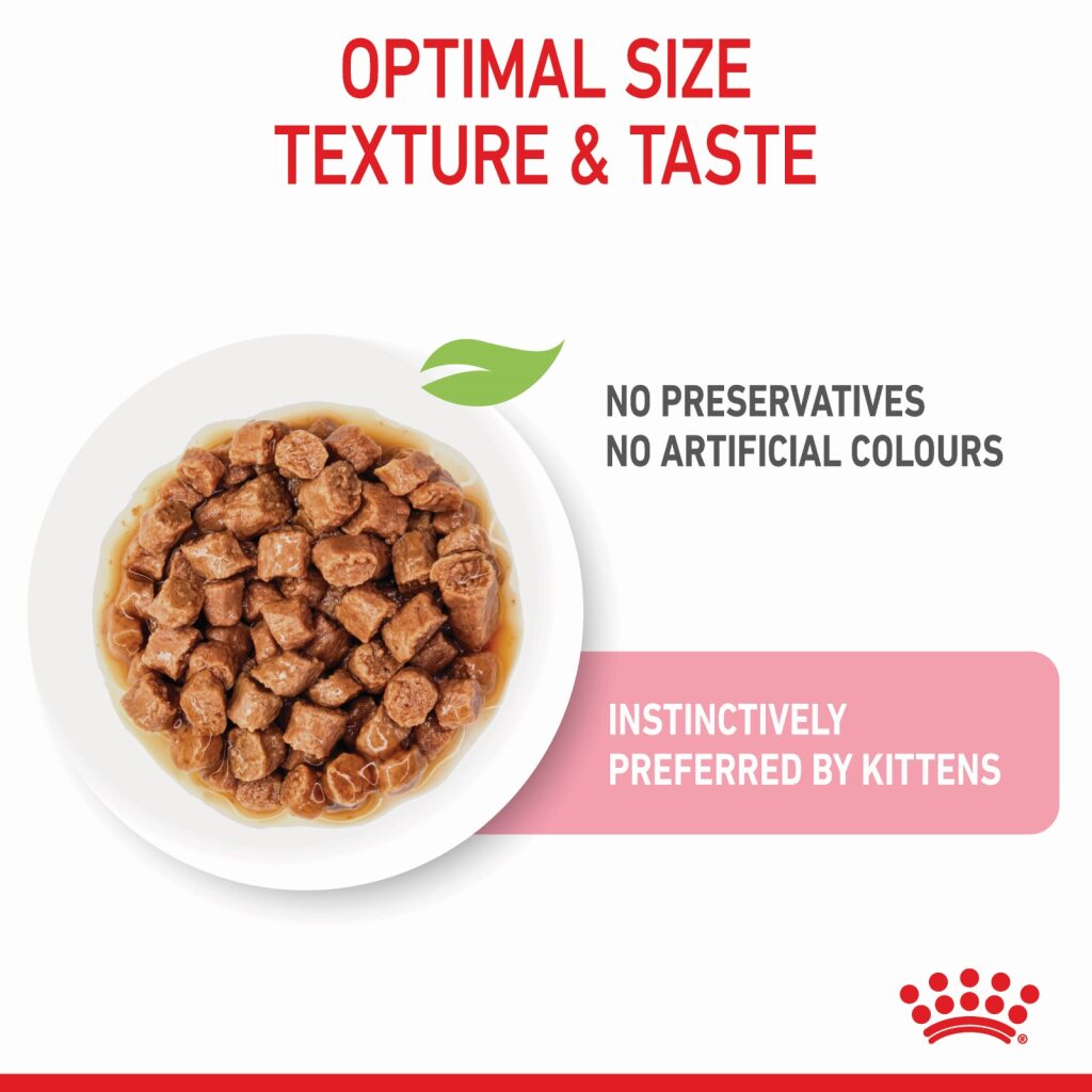 Royal Canin Kitten Gravy 85g
