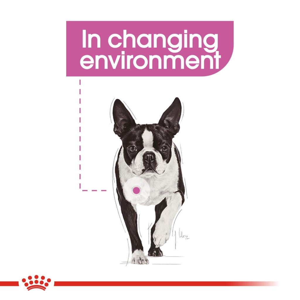 Royal Canin Dog Mini Relax Care 3Kg