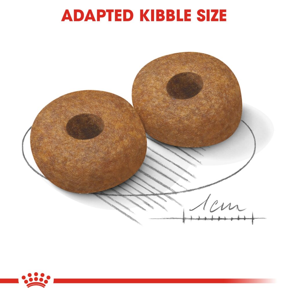 Royal Canin Dog Medium Ageing 10+ - 15kg