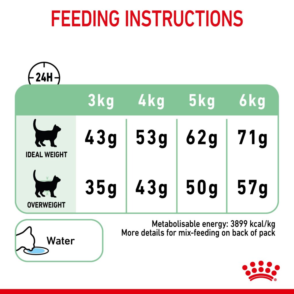 Royal Canin Feline Digestive Care