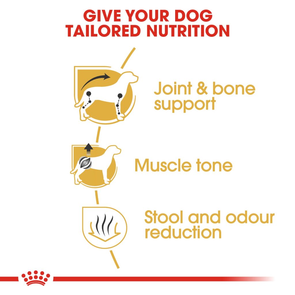 Royal Canin Dachshund Adult 1.5Kg