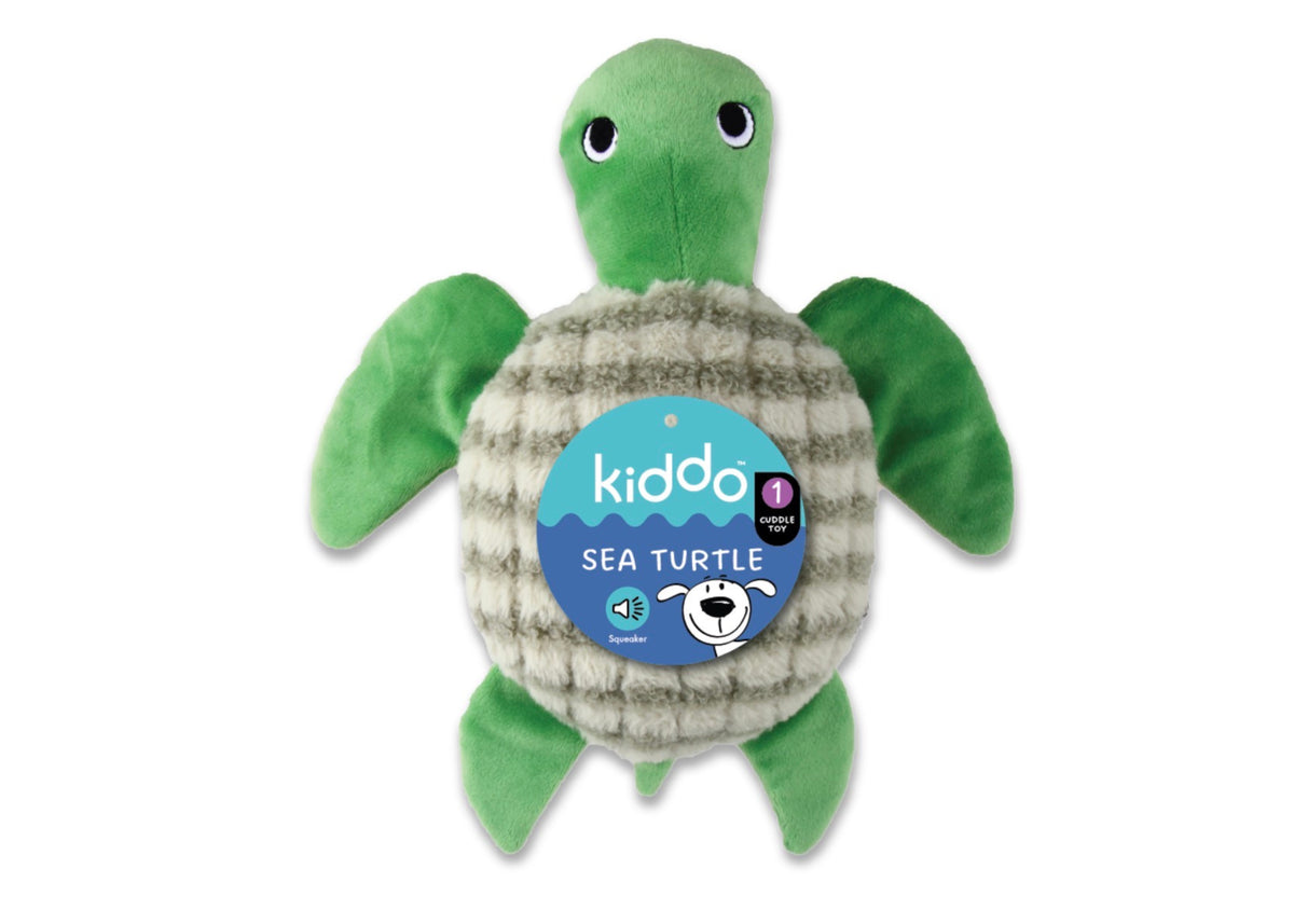 Kiddo - Sea Turtle