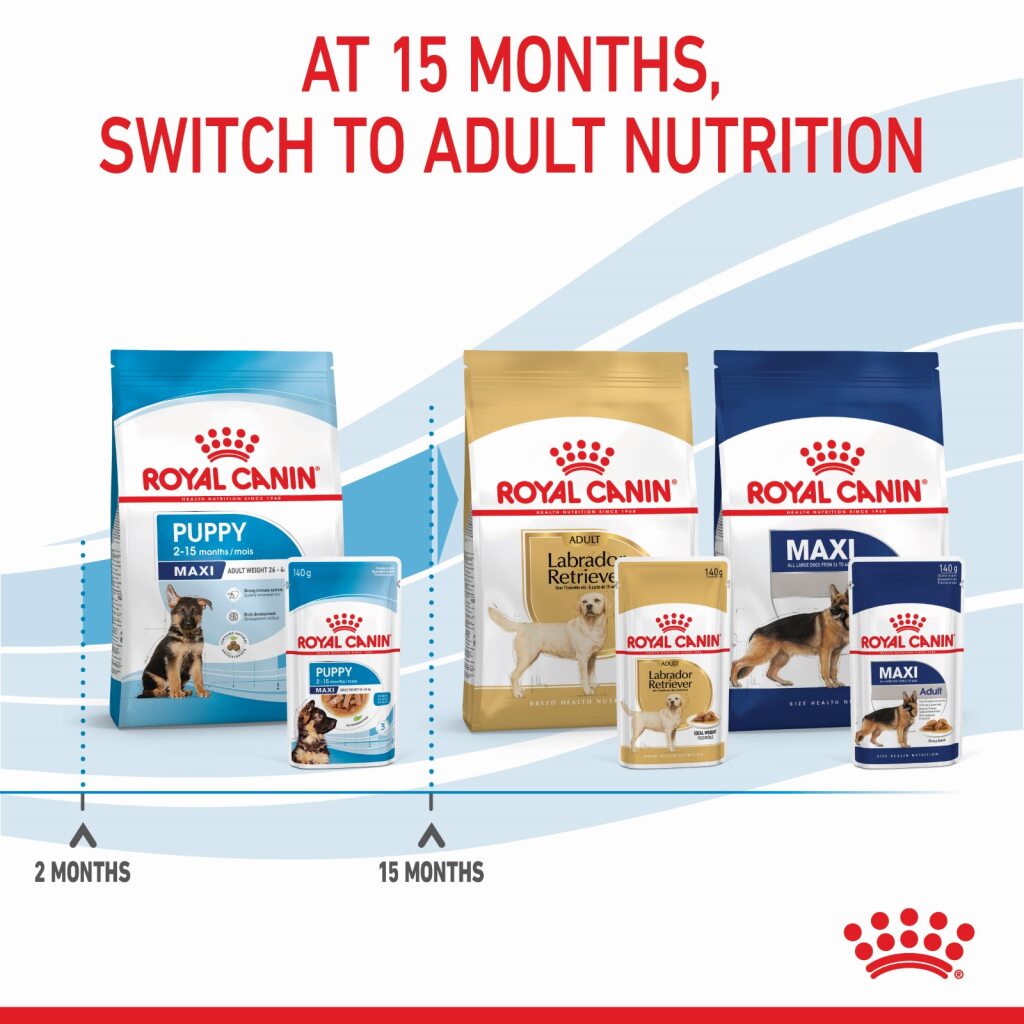 Royal Canin Maxi Puppy Wet Food 140g