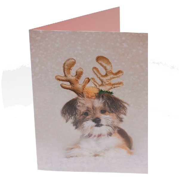 RSPCA Christmas Cards Dog Collection 10 Cards & Envelopes