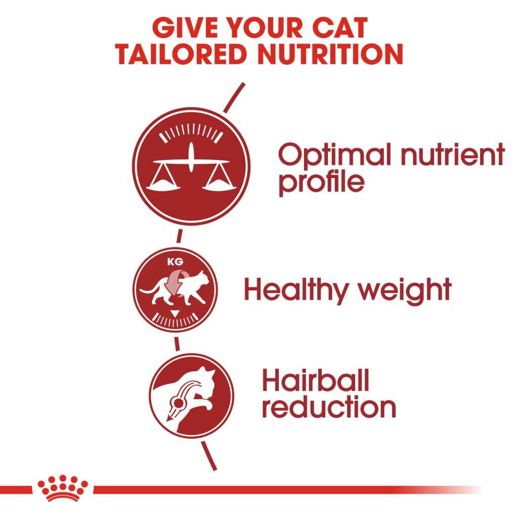 Royal Canin Feline Fit