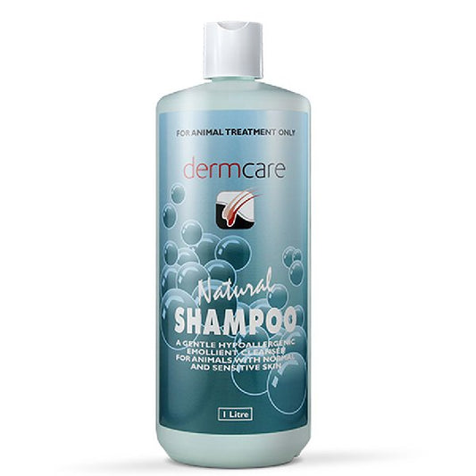 Dermcare Natural Shampoo