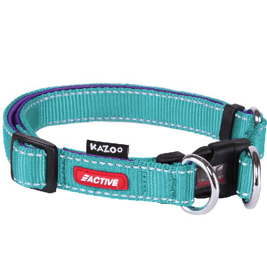 Active Dog Adjustable Collar Aqua And Purple LARGE 37-55CM