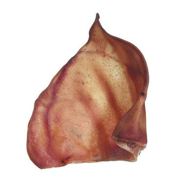 Black Dog Pig Ears