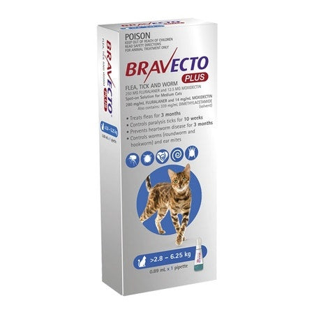 Bravecto Plus For Cats Blue 2.8 to 6.25kg