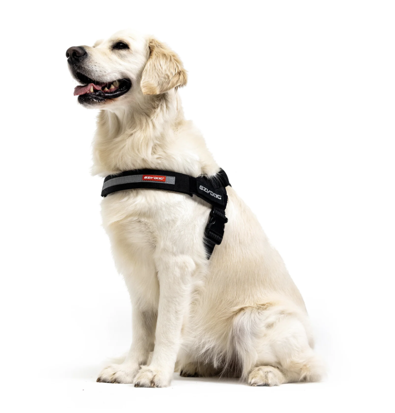 Ezy Dog Express Harness Blue  MEDIUM