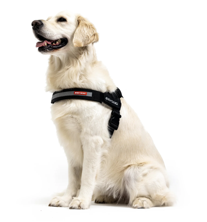 EzyDog Express Harness Black
