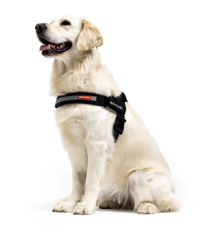 EzyDog Express Harness Red  SMALL