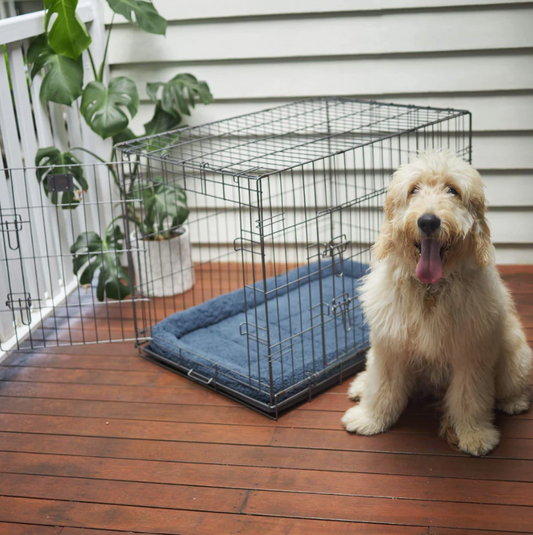 Kazoo Crate Cushion