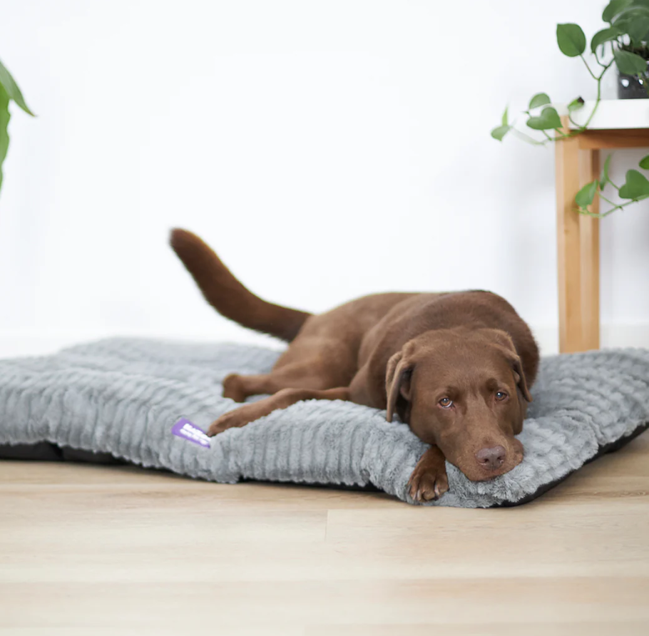 Storm Pillow Cool Grey XLARGE