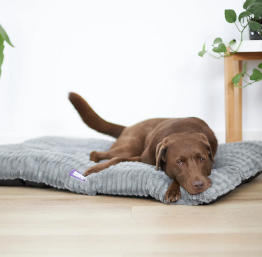 Storm Pillow Cool Grey XLARGE