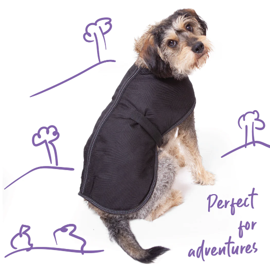 Kazoo Adventure Coat W/Harness Hatch Black XXS