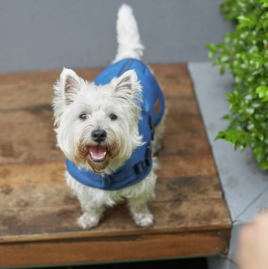 Kazoo Adventure Coat W/Harness Hatch Blue XXS