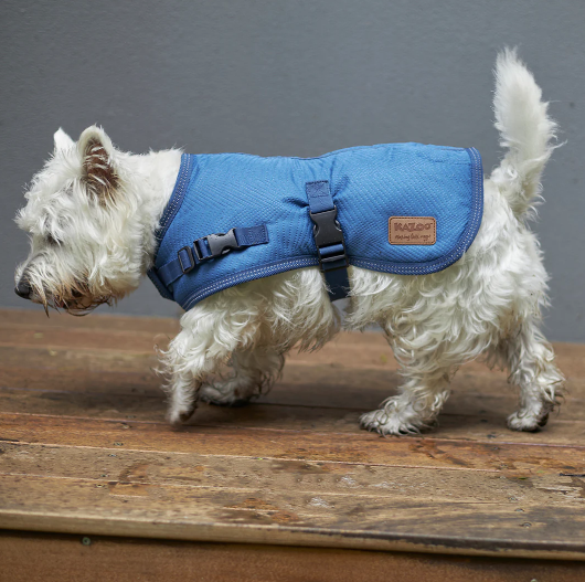 Kazoo Adventure Coat W/Harness Hatch Blue XXS
