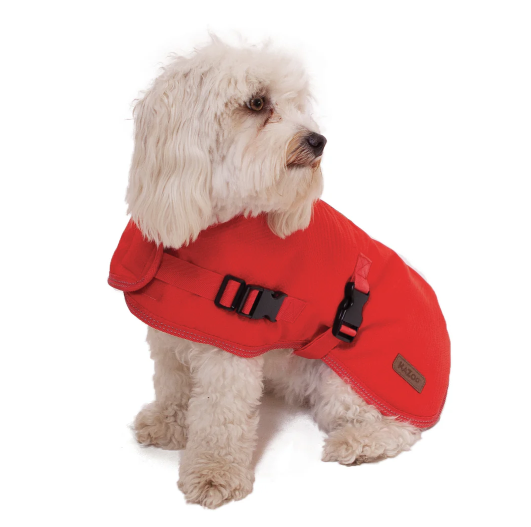 Kazoo Adventure Coat W/Harness Hatch Red I