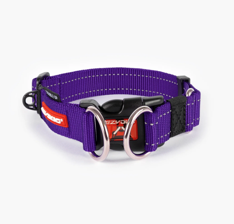 EzyDog Double-Up Collar Purple