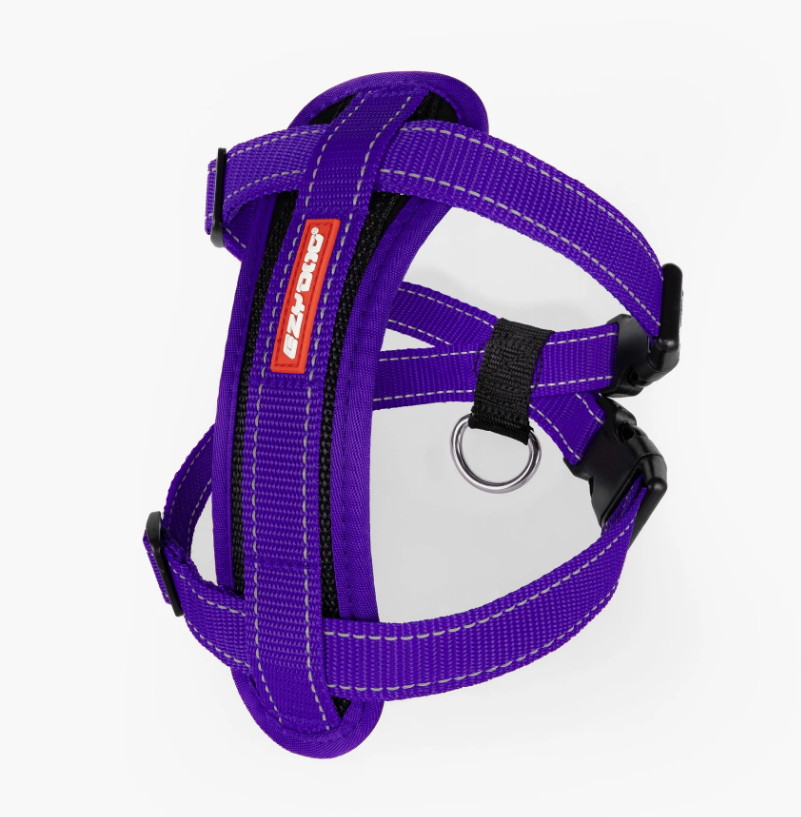 EzyDog Chest Plate Harness Purple