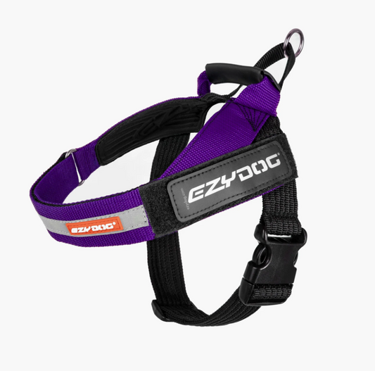 EzyDog Express Harness Purple