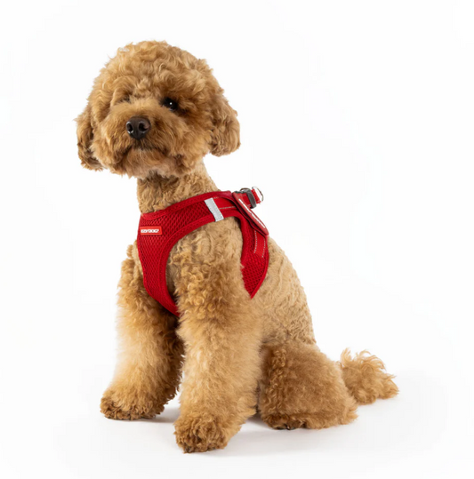 EzyDog FormFit Mesh Harness Purple