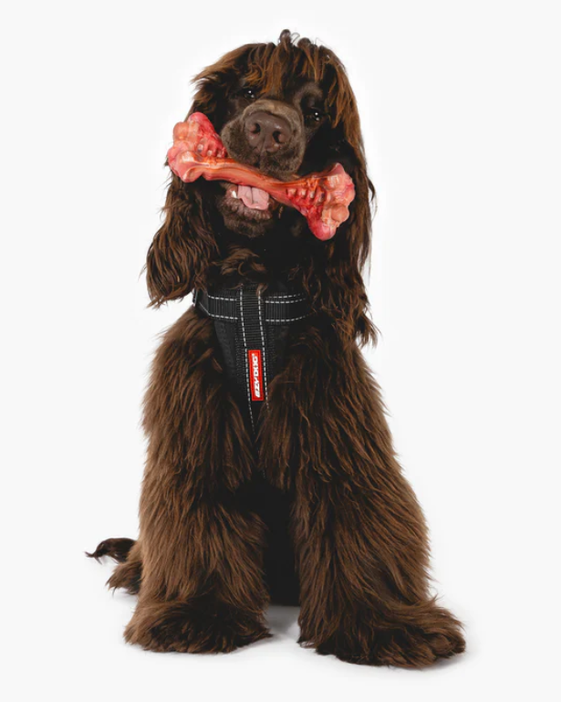 EzyDog Ezy Bones Red SMALL