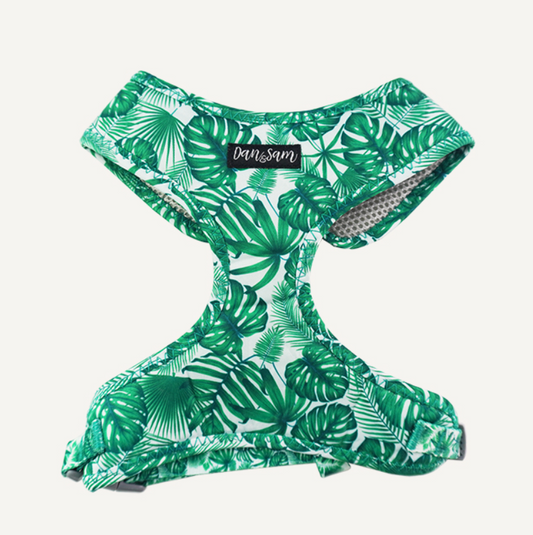 Dan & Sam Dog Harness Lahana