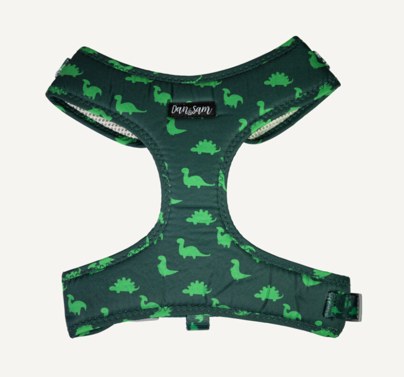 Dan & Sam Dog Harness Dinosaur Land