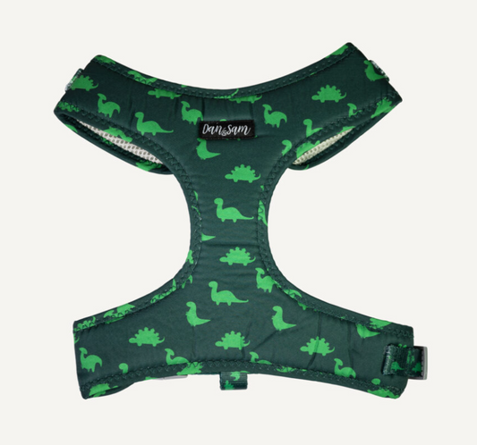 Dan & Sam Dog Harness Dinosaur Land