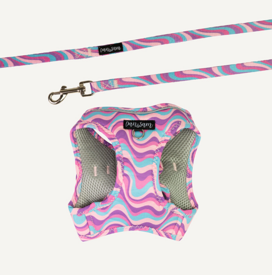Dan & Sam Step-In Cat Harness & Lead - Disco Party