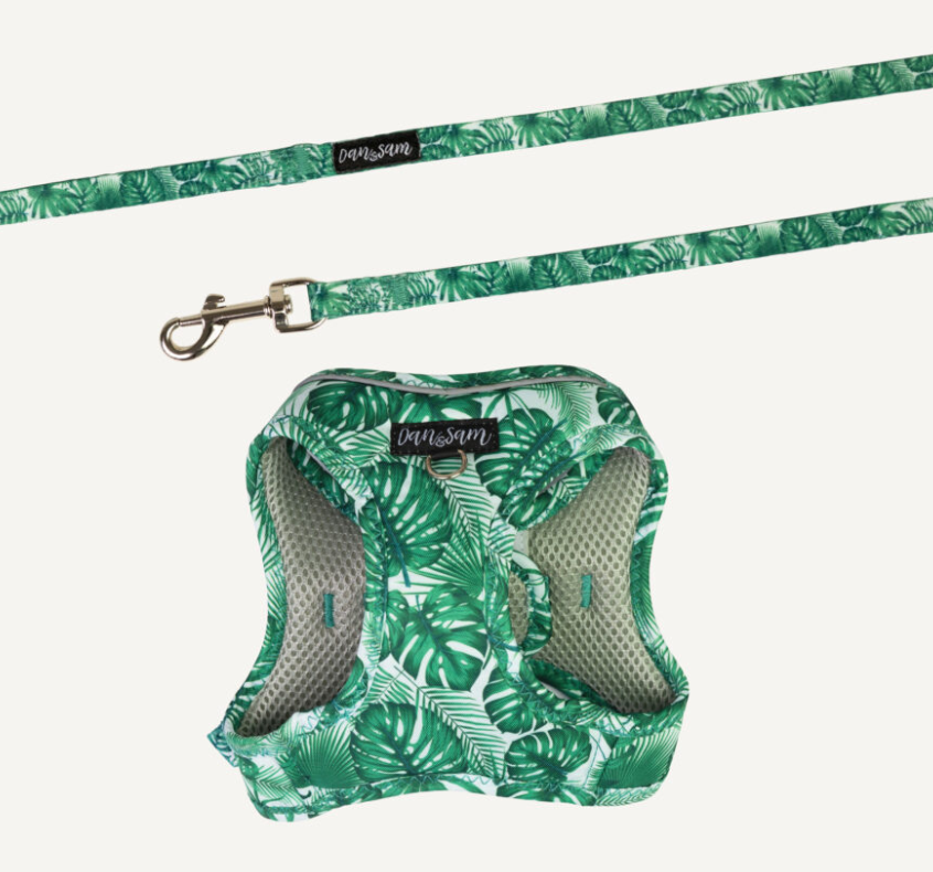 Dan & Sam Step-In Cat Harness & Lead - Lahana