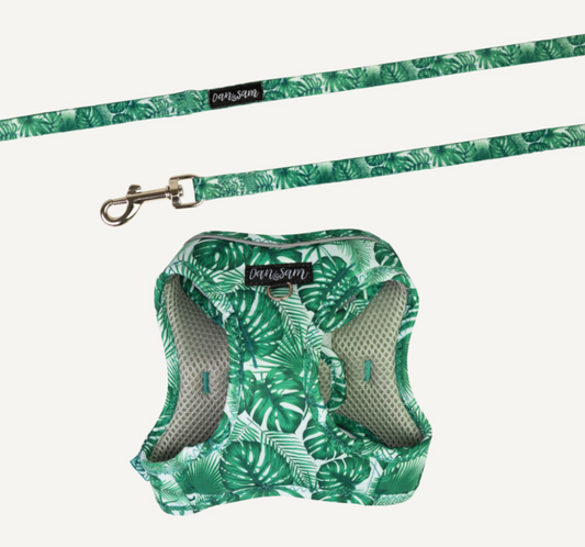Dan & Sam Step-In Cat Harness & Lead - Lahana