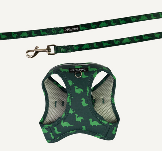 Dan & Sam Step-In Cat Harness & Lead - Dinosaur Land