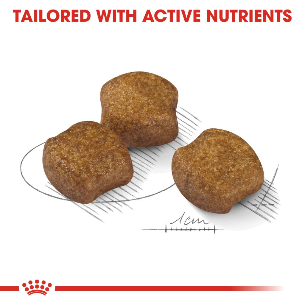 Royal Canin Dog Medium Dental Care