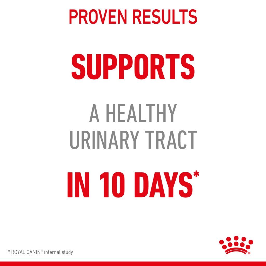Royal Canin Feline Urinary Care Gravy 85g