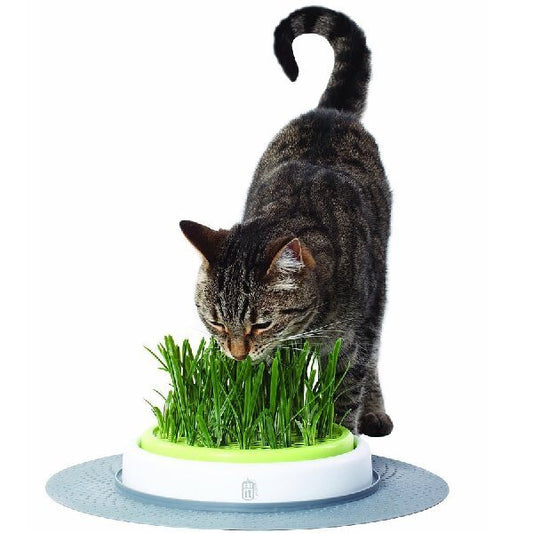 Catit Senses 2.0 Grass Planter