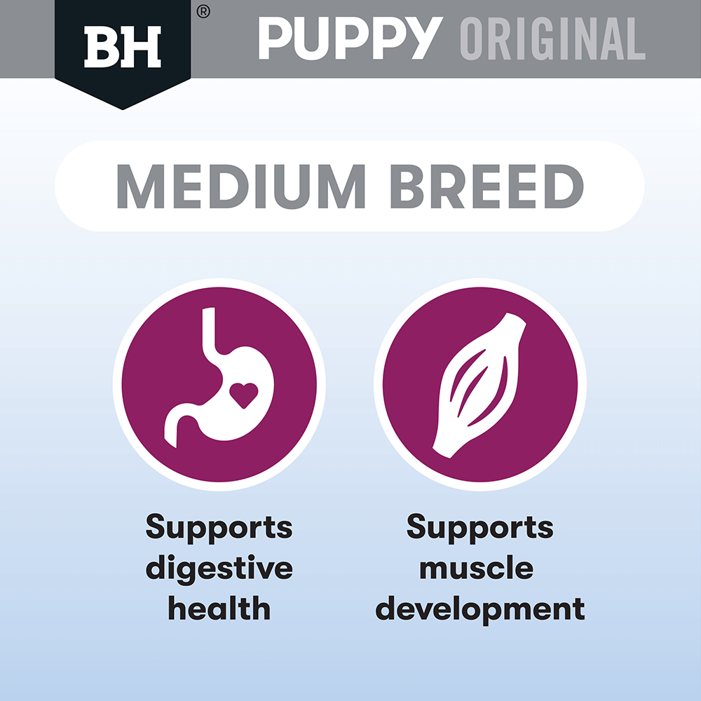 Black Hawk Puppy Med Breed Lamb & Rice