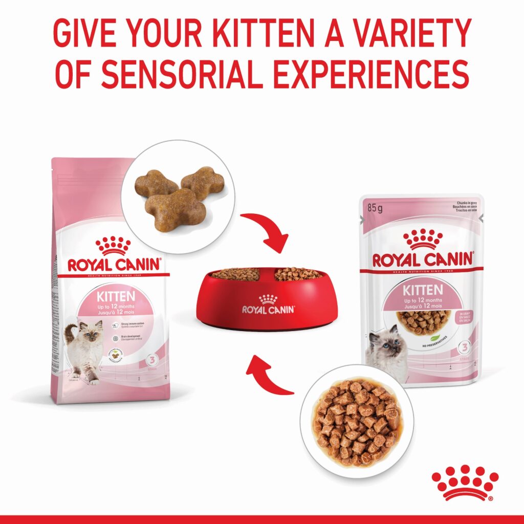 Royal Canin Kitten Gravy 85g