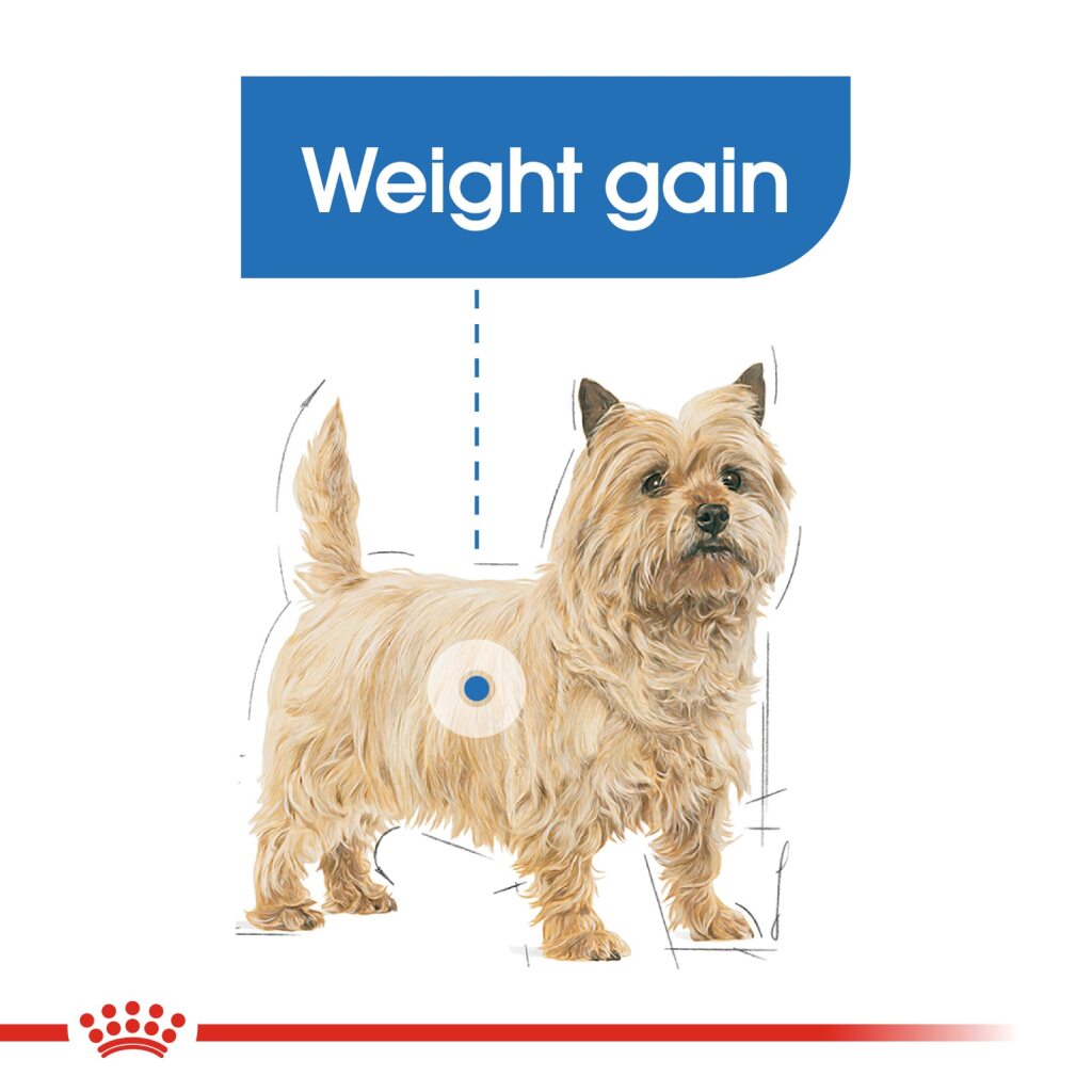 Royal Canin Canine Light Wet Food 85g