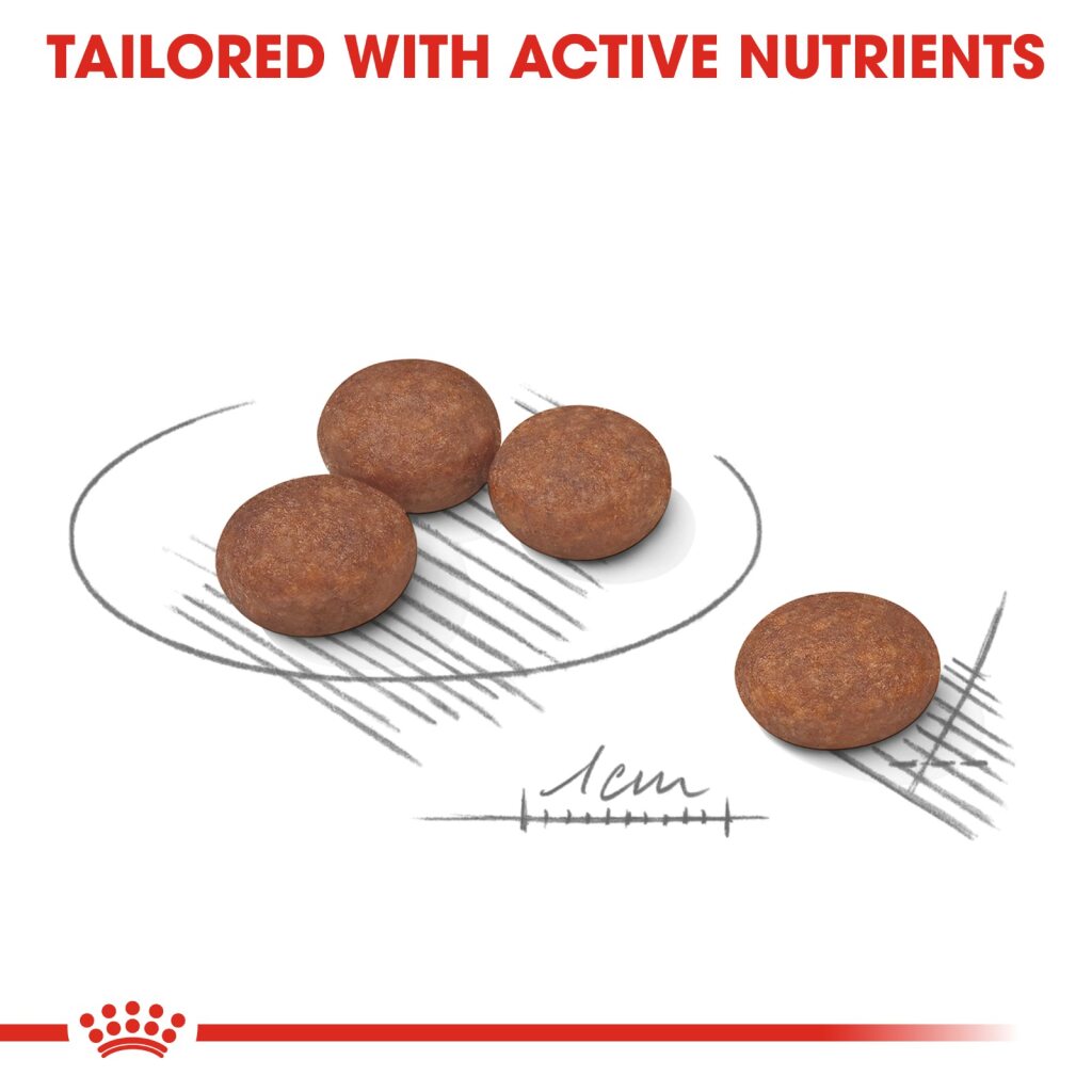 Royal Canin Mini CCN Mini Digestive Care 3 kg