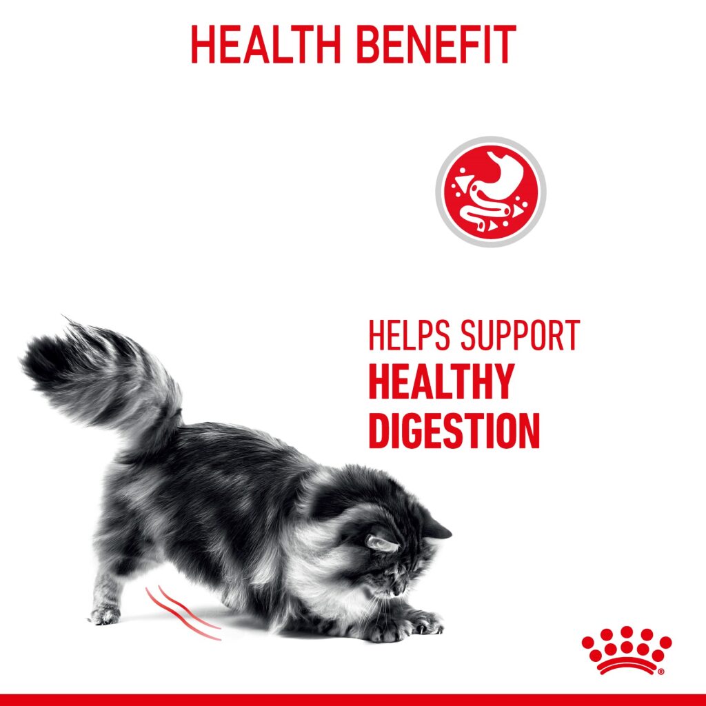 Royal Canin Feline Digestive Care